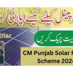 CM Punjab Solar Panel Scheme 2024 – How to Apply Online